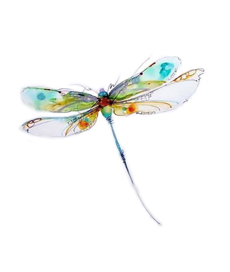 Dragonfly Counselling and Psychotherapy