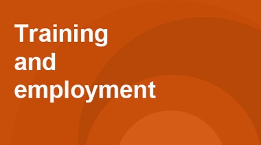 Training and Employment Button. Links To A Page Showing Organisations That Can Help.