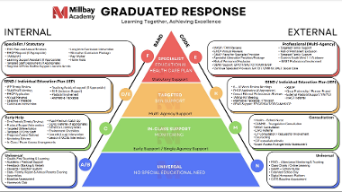 Millbay Academy Graduated Response