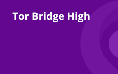 Tor Bridge High Banner