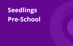 Seedlings Pre-School Banner