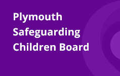 Plymouth Safeguarding Children Board Banner