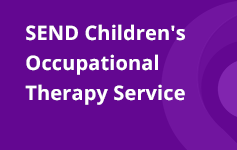 SEND Children's Occupational Therapy Service Banner