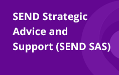 SEND Strategic Advice and Support (SEND SAS) Banner