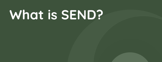 What Is SEND Panel