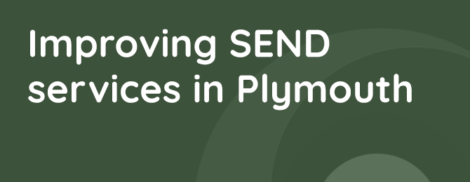 Improving SEND Services In Plymouth Panel