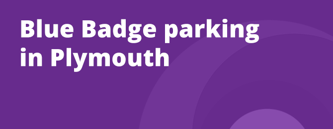 Blue Badge Parking In Plymouth Panel