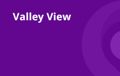 Valley View Logo