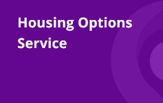 Housing Options Service Logo