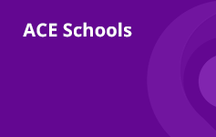 ACE Schools Logo